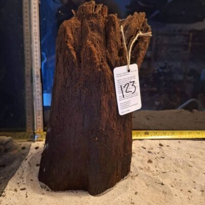 Tuskwood Aquarienwurzel in echtem Moorholz, 30-40cm