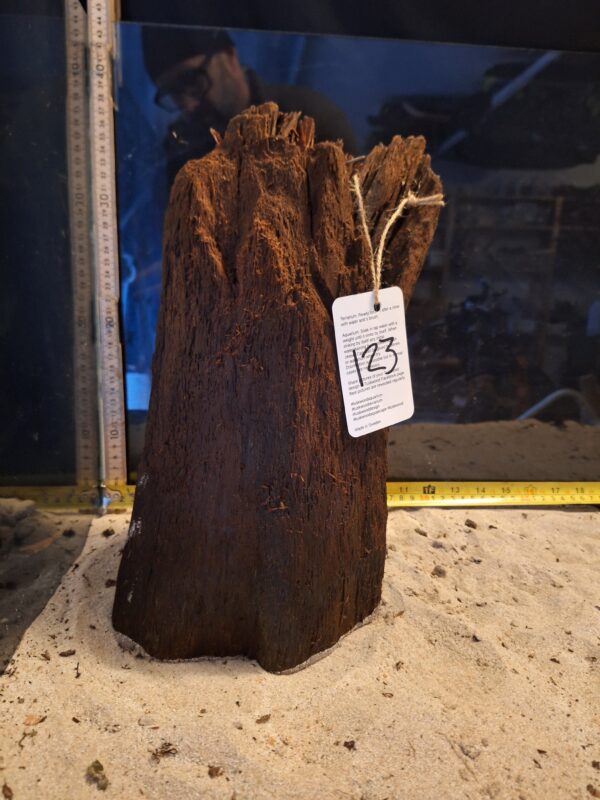 Tuskwood Ancient Stump XL (30-40) Mix - Bild 2