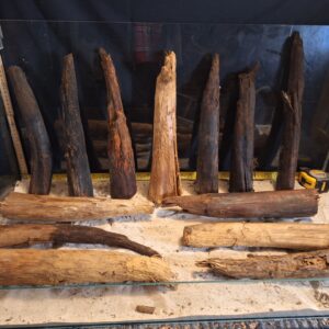 Tuskwood Ancient Stump M (30-40) Mix