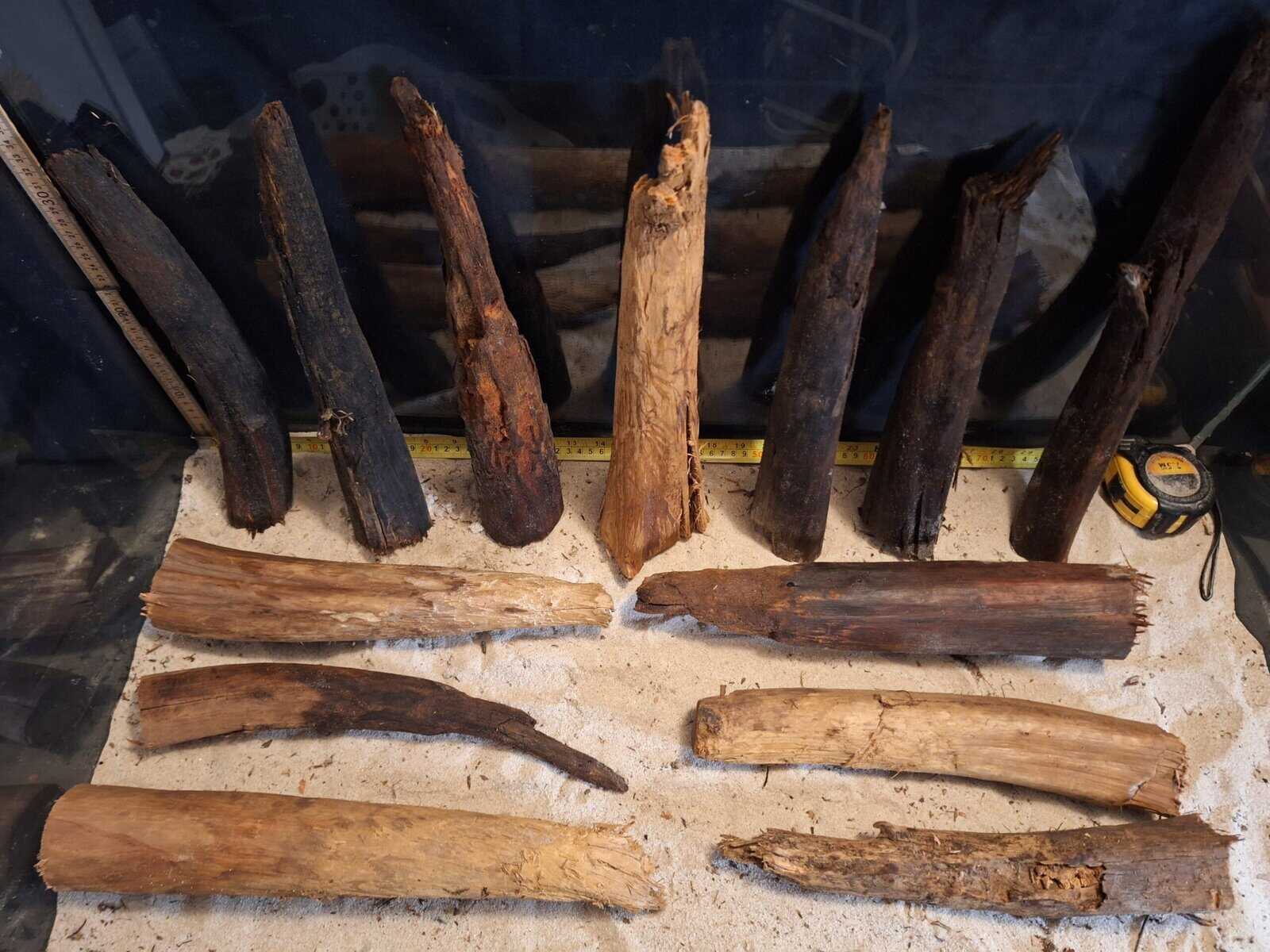 Tuskwood Ancient Stump M (30-40) Mix - Bild 2