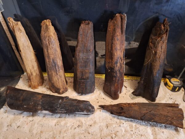 Tuskwood Ancient Stump L (30-40) Mix - Bild 2