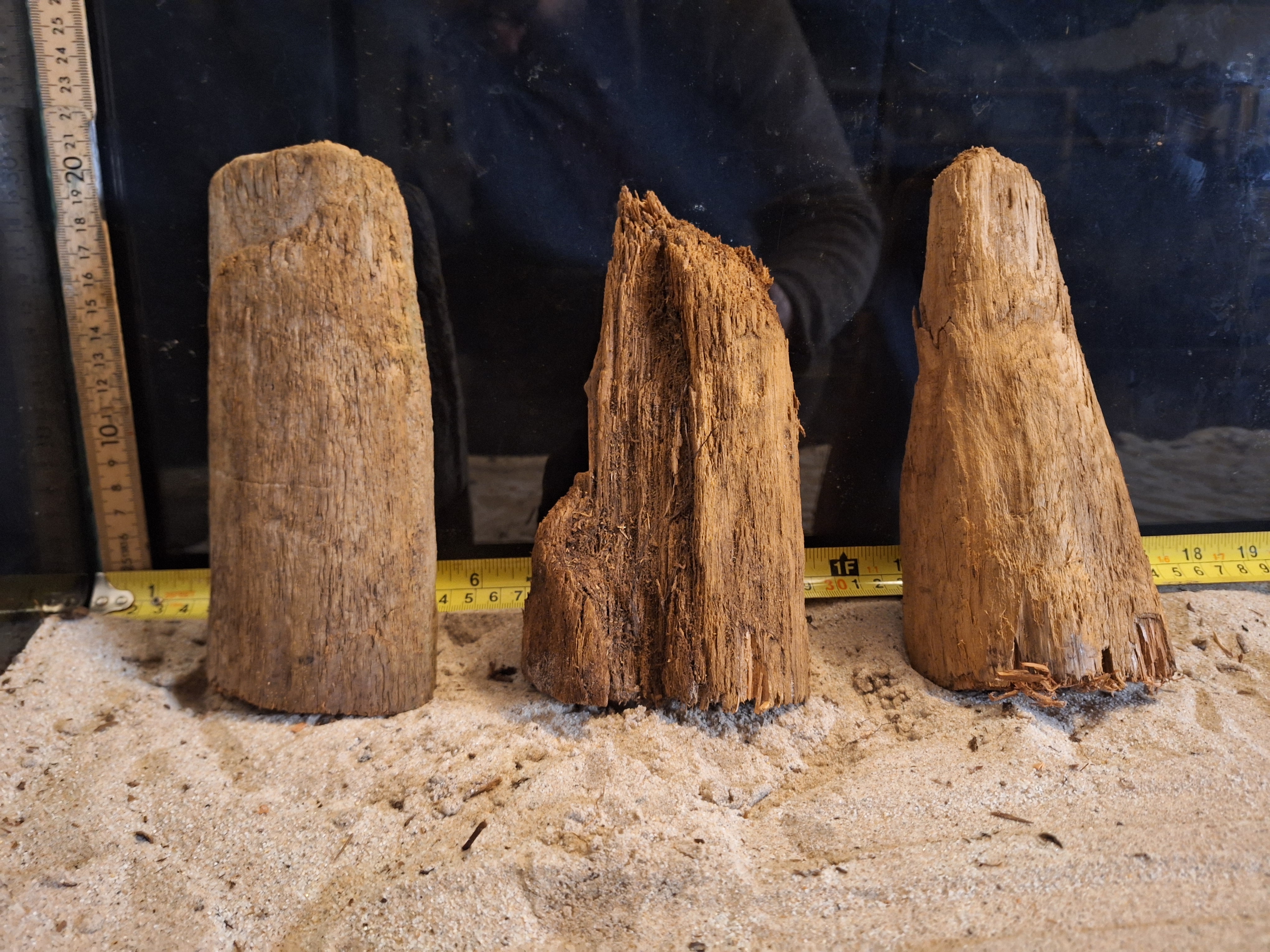 Tuskwood Ancient Stump L (10-20) Mix