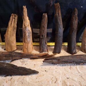 Tuskwood Ancient Stump M (20-30) Mix