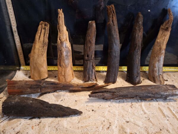 Tuskwood Ancient Stump M (20-30) Mix