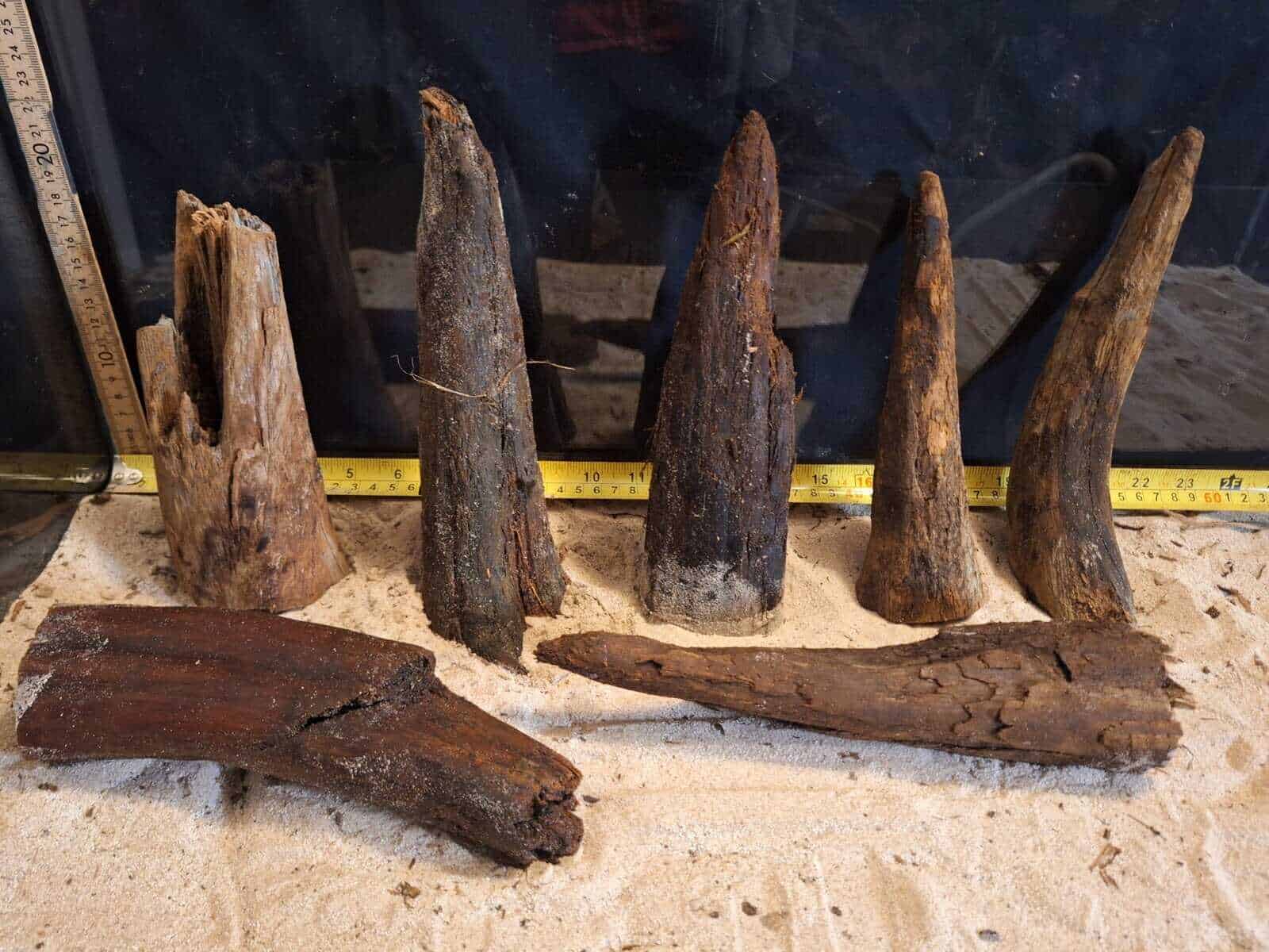 Tuskwood Ancient Stump M (10-20) Mix