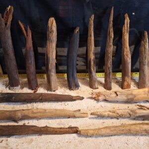 Tuskwood Ancient Stump S (20-30) Mix