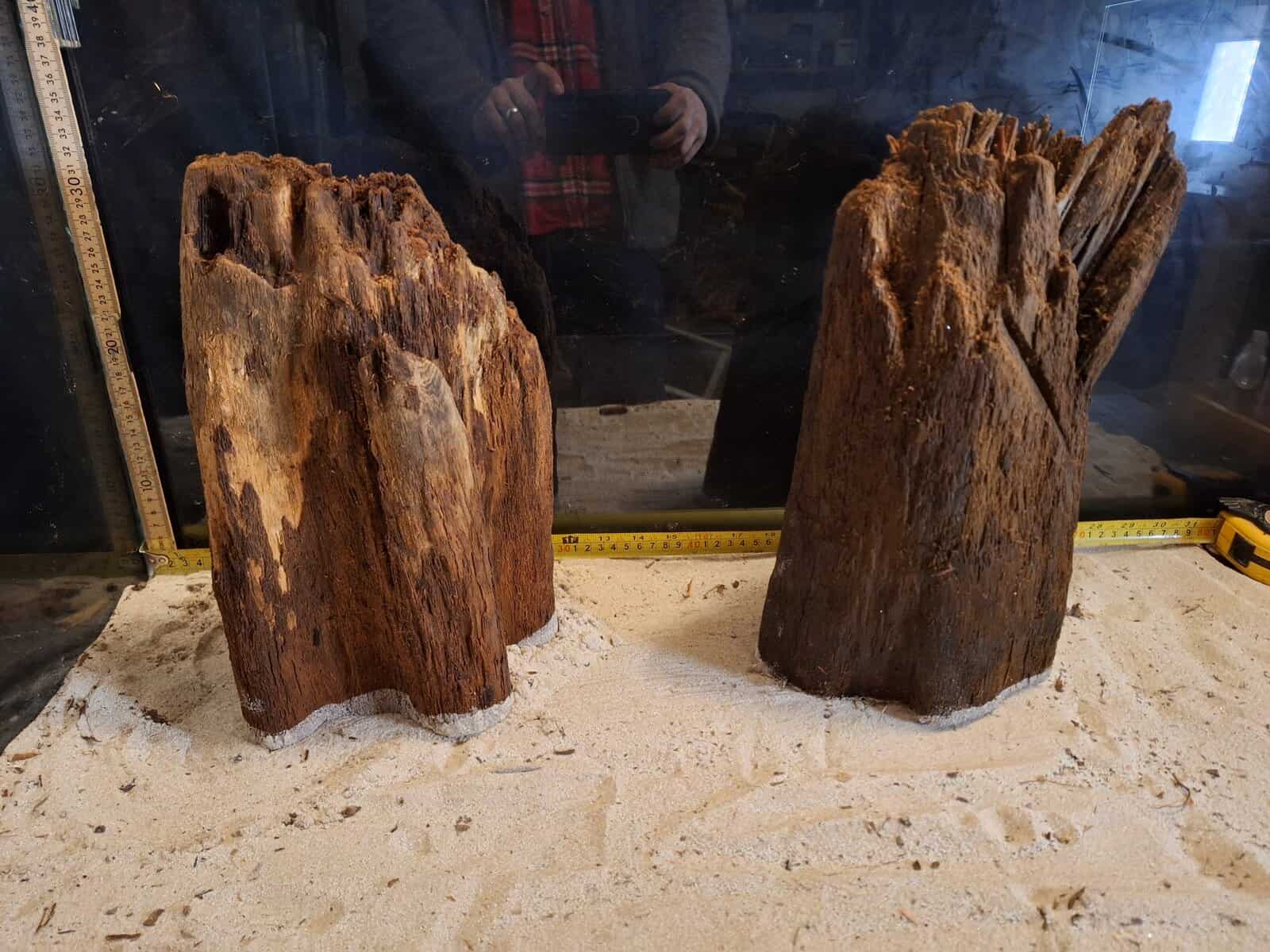 Tuskwood Ancient Stump XL (30-40) Mix