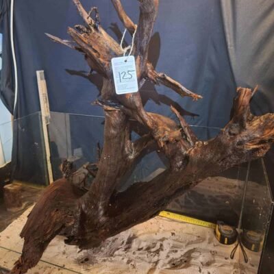 Tuskwood racine d'aquarium en véritable tourbière, 60cm
