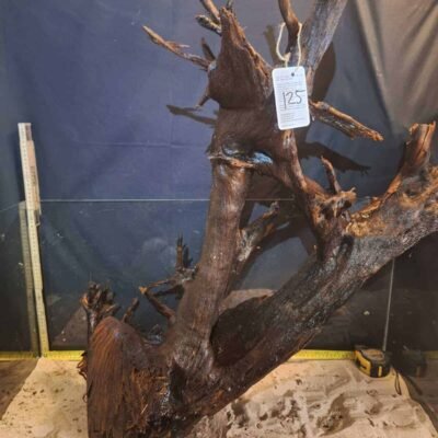 Tuskwood korzeń akwariowy z prawdziwego drewna bagiennego, 60 cm