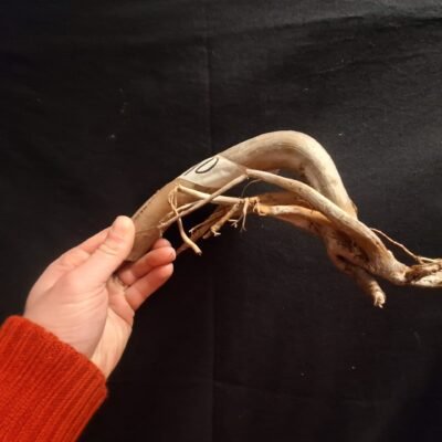 Tuskwood akvaariojuuri aidossa suopuussa