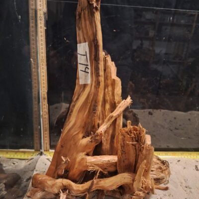 Tuskwood akvaariojuuri aidossa suopuussa