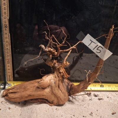 Tuskwood akvaariojuuri aidossa suopuussa