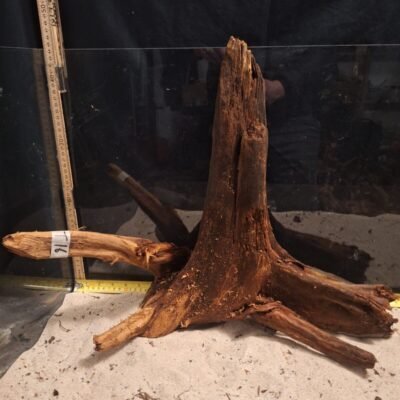 Tuskwood akvaariojuuri aidossa suopuussa