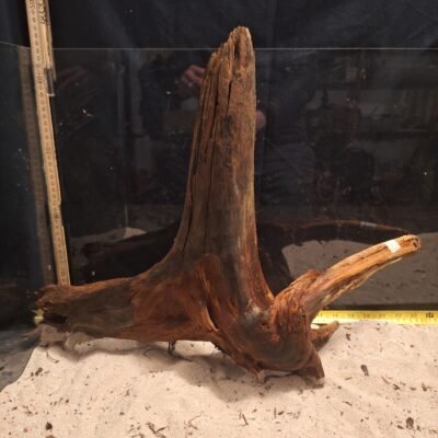Tuskwood akvarierod i ægte mosetræ