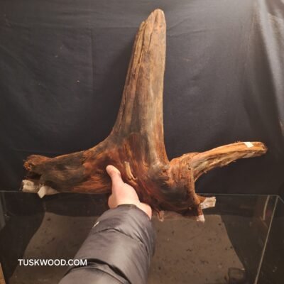 Tuskwood akvarierod i ægte mosetræ