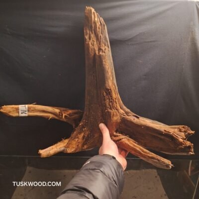 Tuskwood akvarierod i ægte mosetræ