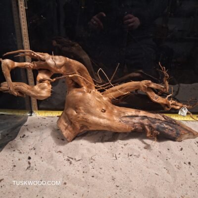 Tuskwood akvaariojuuri aidossa suopuussa