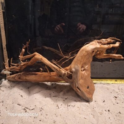 Tuskwood akvaariojuuri aidossa suopuussa
