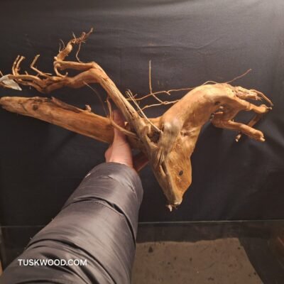 Tuskwood akvaariojuuri aidossa suopuussa