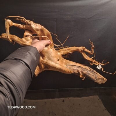 Tuskwood akvaariojuuri aidossa suopuussa