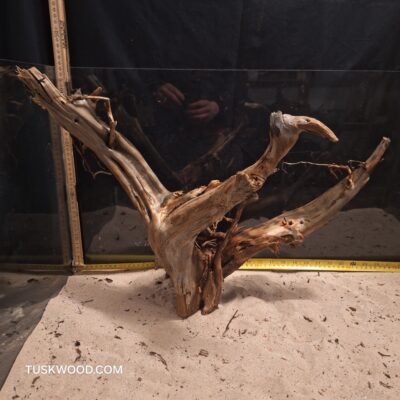 Tuskwood akvaariojuuri aidossa suopuussa
