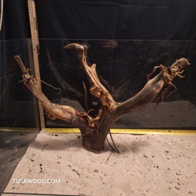 Tuskwood akvarierod i ægte mosetræ