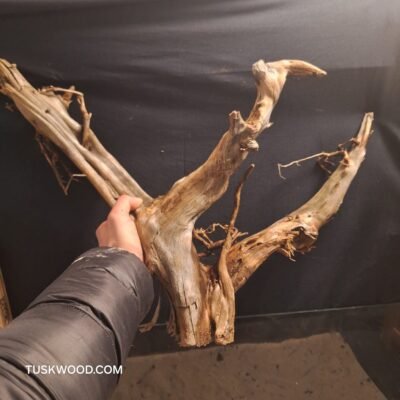 Tuskwood akvarierod i ægte mosetræ