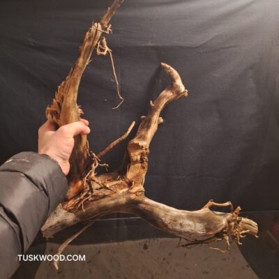 Tuskwood akvarierod i ægte mosetræ