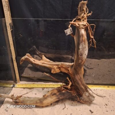 Tuskwood akvarierod i ægte mosetræ