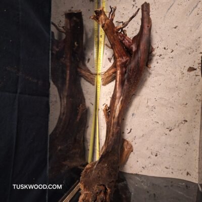 Tuskwood akvarierod i ægte mosetræ