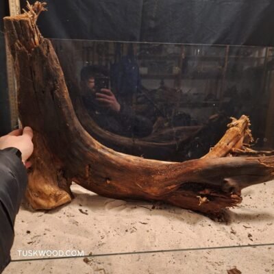 Tuskwood akvarierod i ægte mosetræ