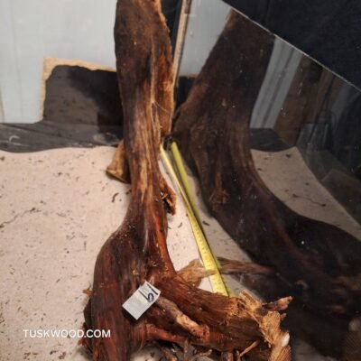 Tuskwood akvarierod i ægte mosetræ