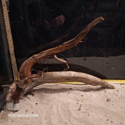 Tuskwood akvarierod i ægte mosetræ
