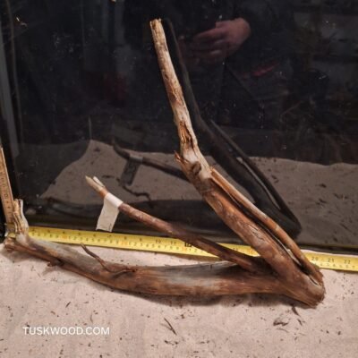 Tuskwood akvaariojuuri aidossa suopuussa