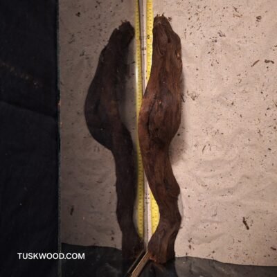 Tuskwood akvaariojuuri aidossa suopuussa