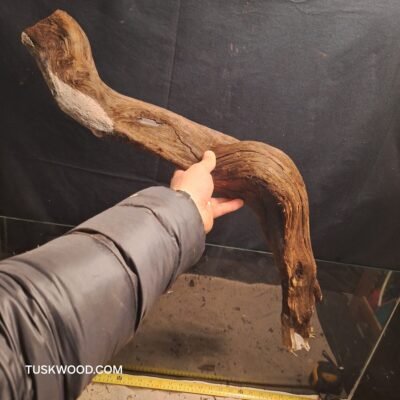 Tuskwood akvaariojuuri aidossa suopuussa