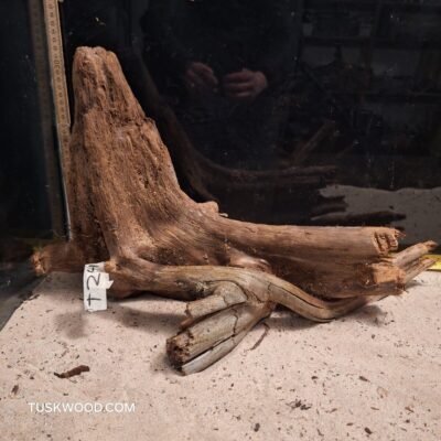 Tuskwood akvarierod i ægte mosetræ