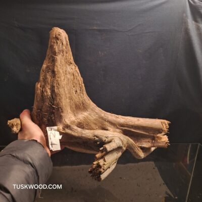 Tuskwood akvaariojuuri aidossa suopuussa