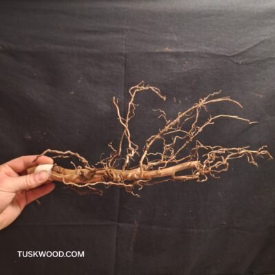 Tuskwood akvarierod i ægte mosetræ