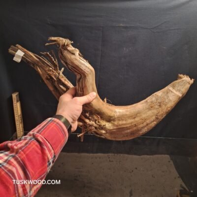 Tuskwood akvarierod i ægte mosetræ