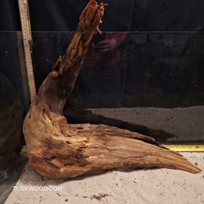 Tuskwood akvarierod i ægte mosetræ