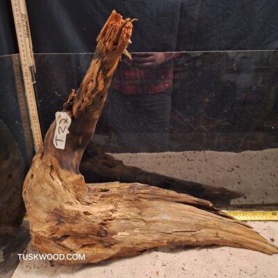 Tuskwood akvaariojuuri aidossa suopuussa