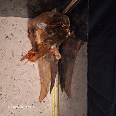 Tuskwood akvaariojuuri aidossa suopuussa