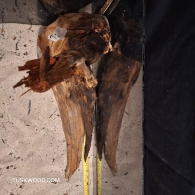 Tuskwood akvaariojuuri aidossa suopuussa