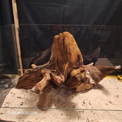 Tuskwood akvarierod i ægte mosetræ