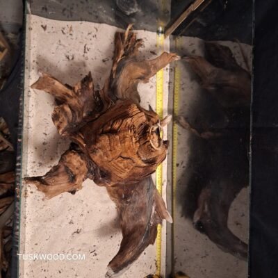 Tuskwood akvarierod i ægte mosetræ