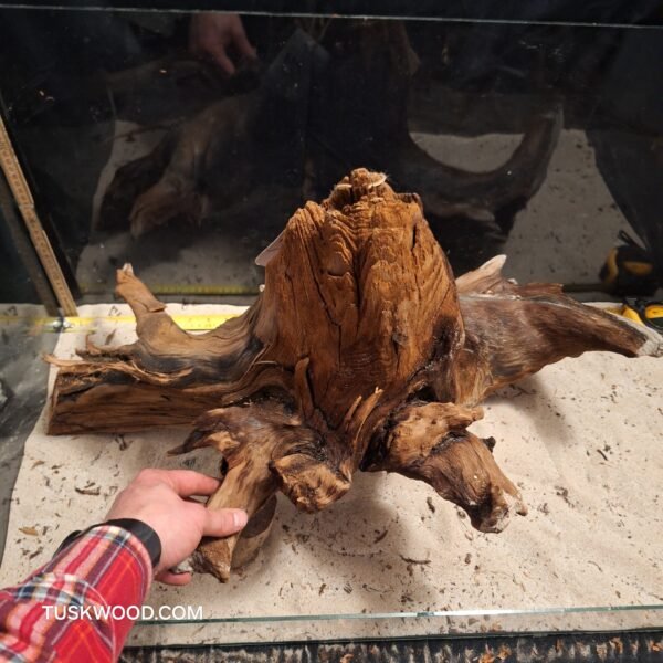 Tuskwood akvarierod i ægte mosetræ