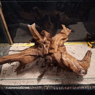 Tuskwood akvarierod i ægte mosetræ