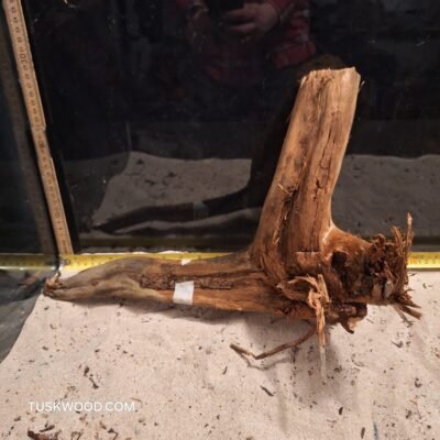 Tuskwood akvarierod i ægte mosetræ