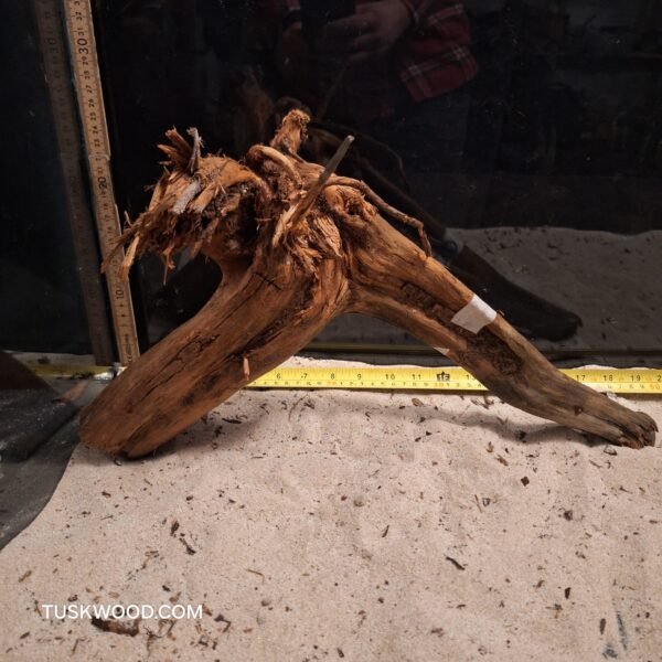Tuskwood aquarium root in real bogwood